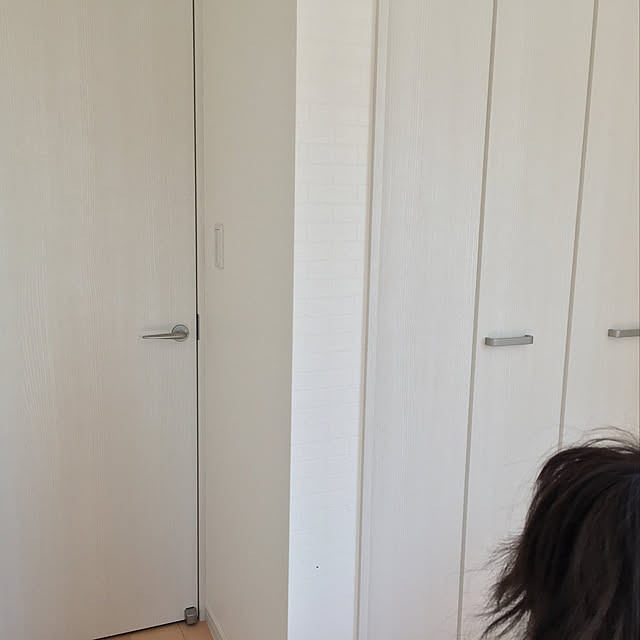 miumiuさんの実例写真