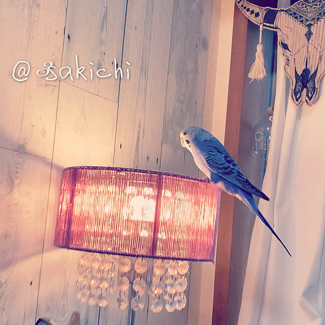 SAKICHIさんの実例写真