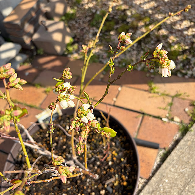 ritsukoさんの部屋