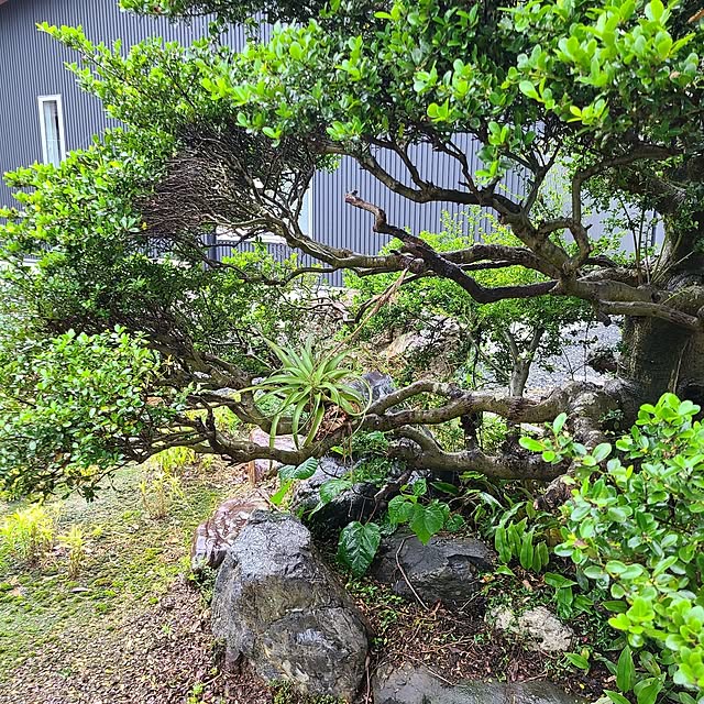 Rubiconさんの部屋