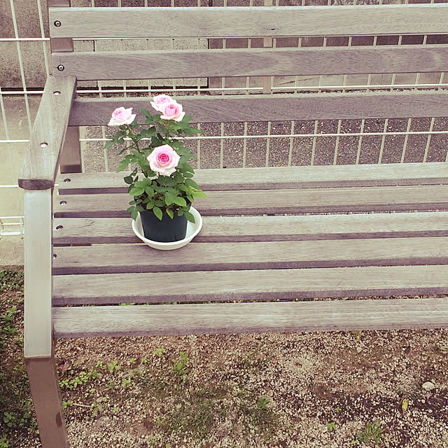 Mitiさんの実例写真