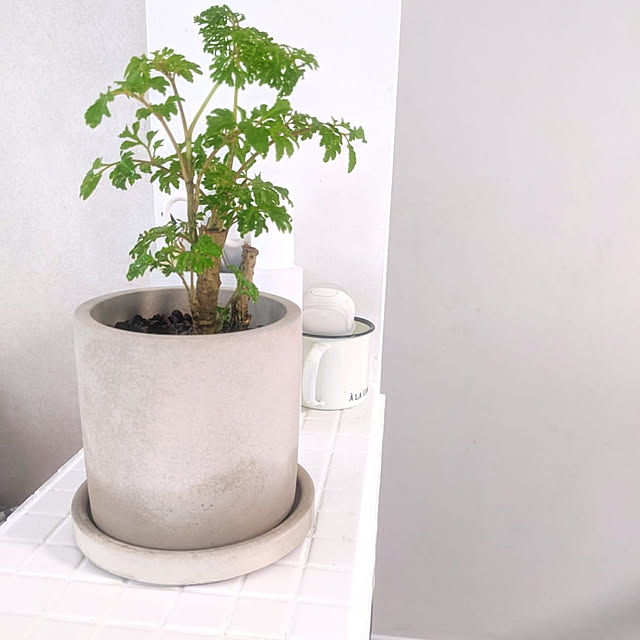 kさんの実例写真