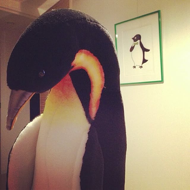 kitakadoさんの実例写真