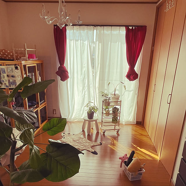 akaさんの実例写真
