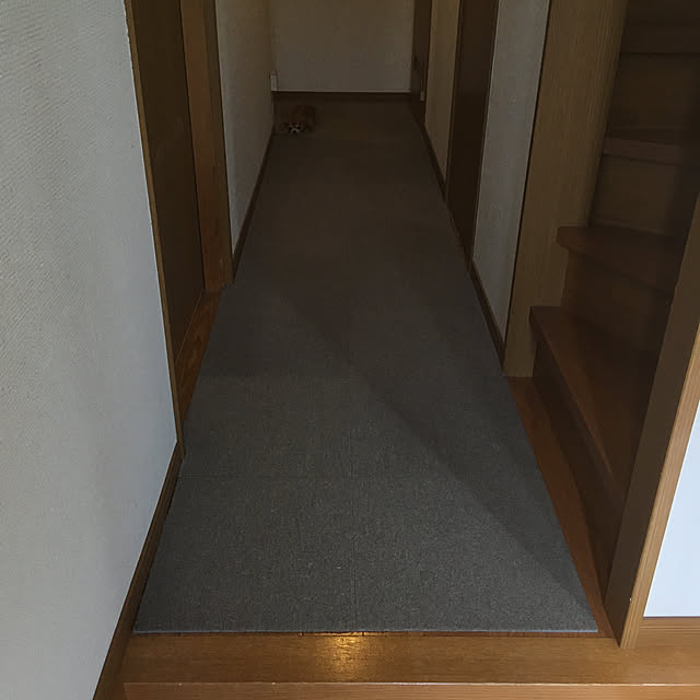 koroさんの実例写真