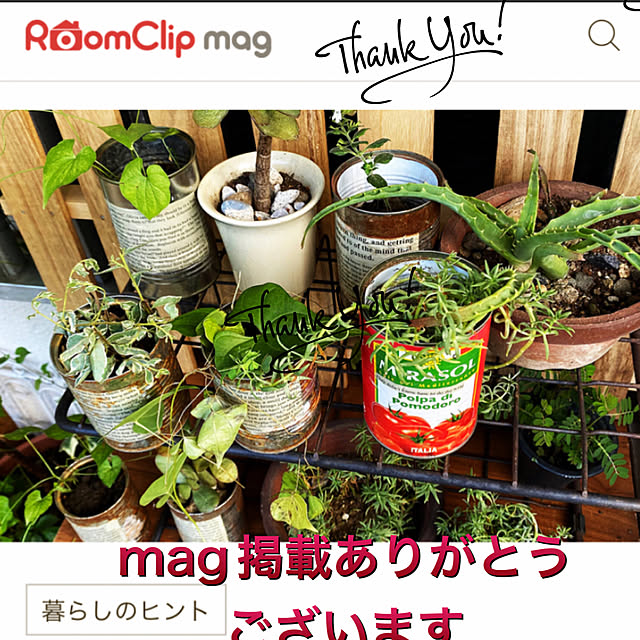 mamiさんの実例写真