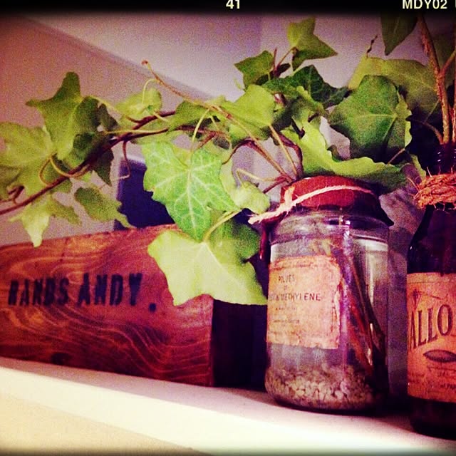 Rans_andy.さんの実例写真