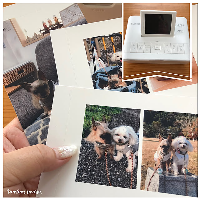loliontoaliceveさんの実例写真