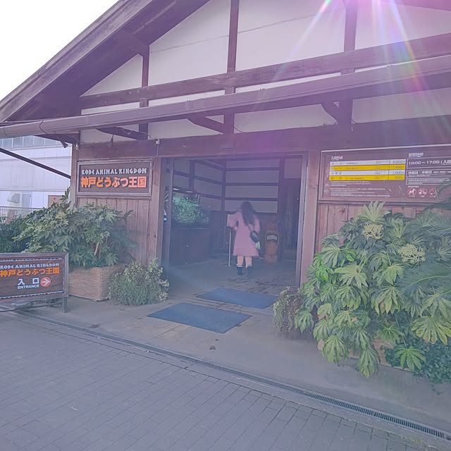 mariaさんの実例写真