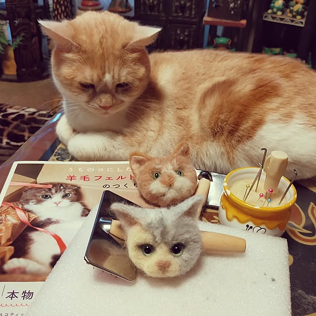 kobakissaさんの実例写真