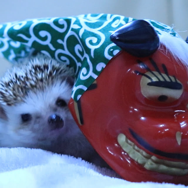 Chikakoさんの実例写真