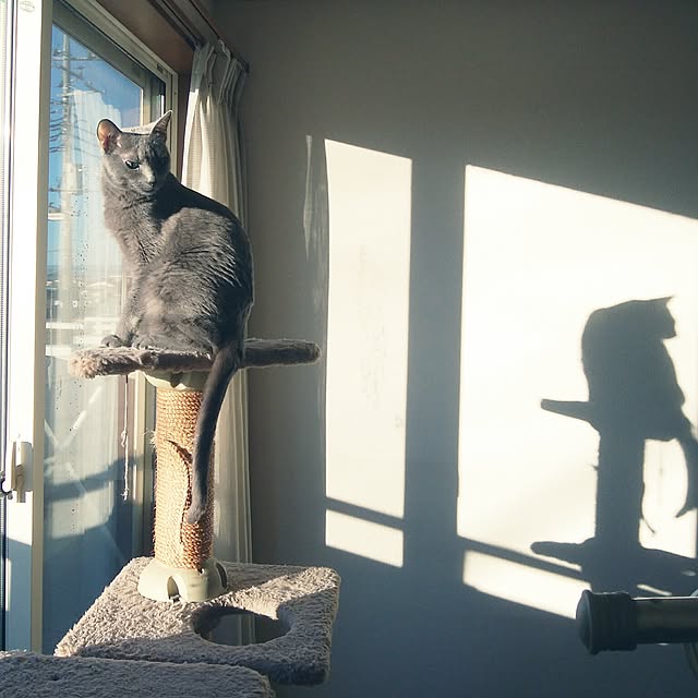 tomo1220さんの実例写真