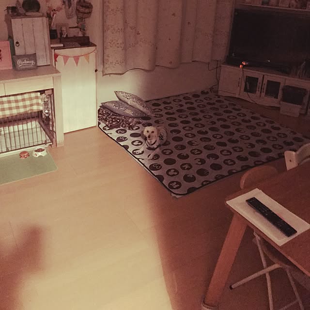 Masamiさんの実例写真