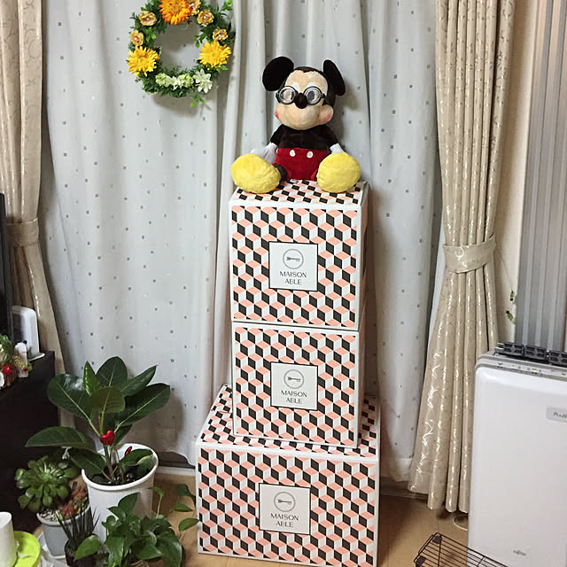 emiさんの実例写真