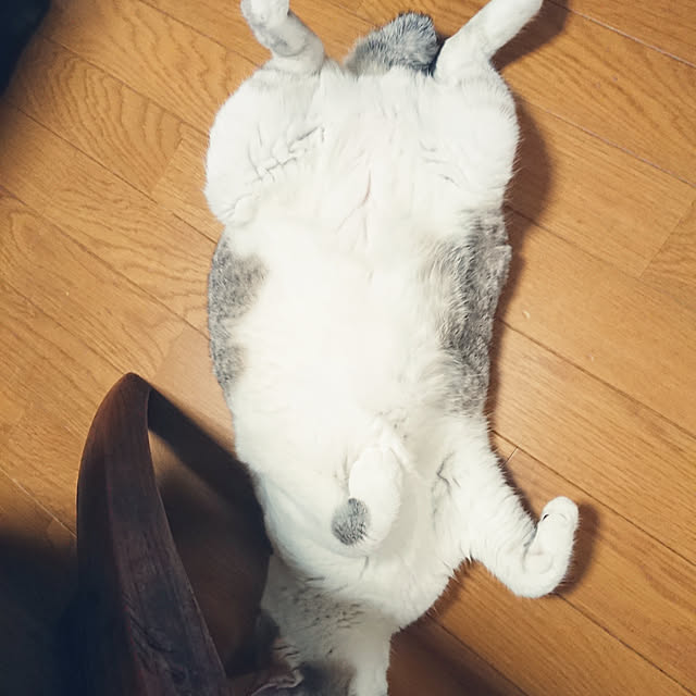 nachiさんの実例写真