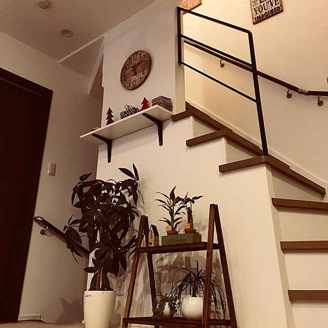 部屋全体/観葉植物/雑貨のインテリア実例 - 2017-11-22 17:11:28