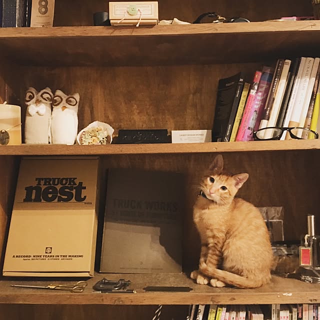 kayuraさんの実例写真