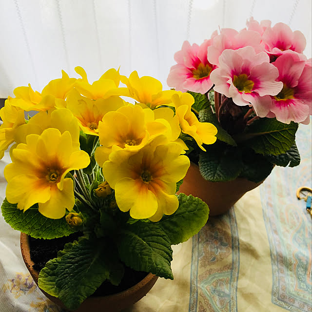 Miwako.Kさんの実例写真