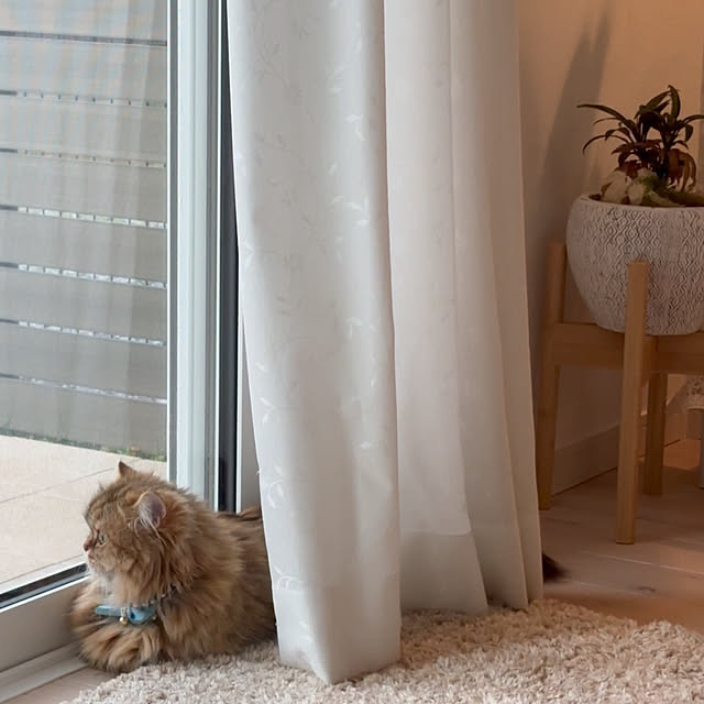 miyu39さんの部屋