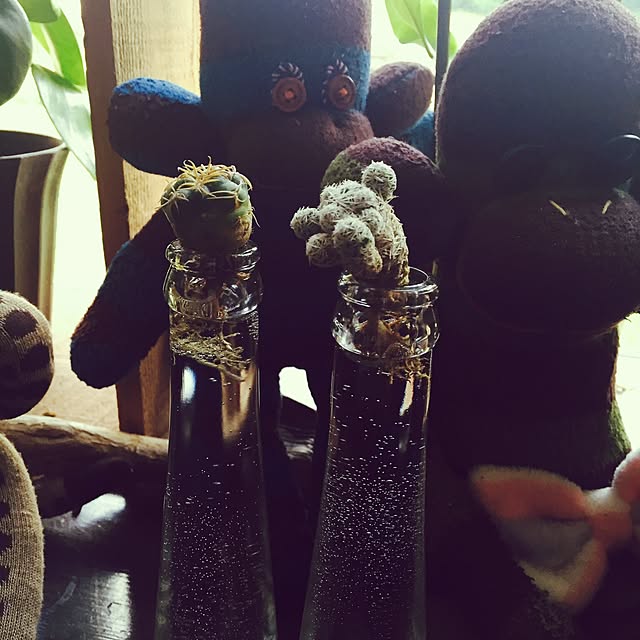 Emiさんの実例写真