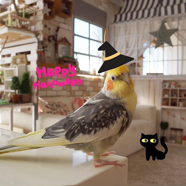 r_6cafeさんの実例写真