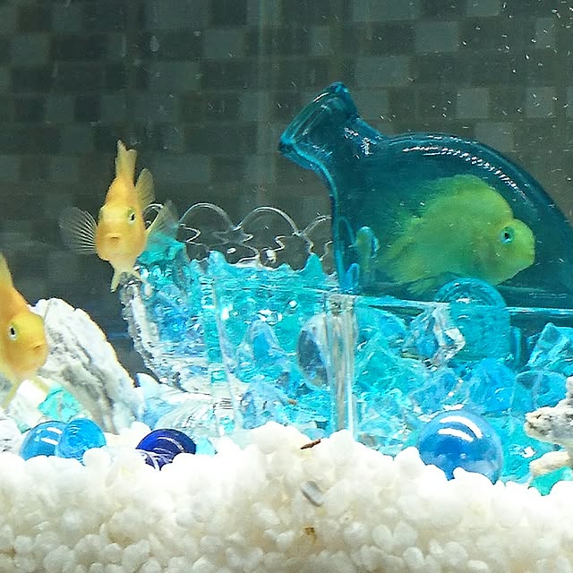 mhkさんの実例写真