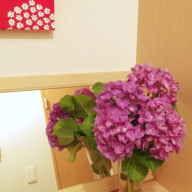 momonyさんの実例写真