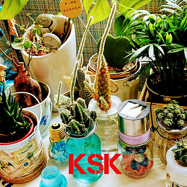 kskさんの実例写真
