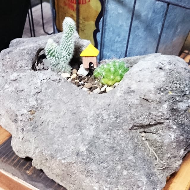 ripさんの実例写真