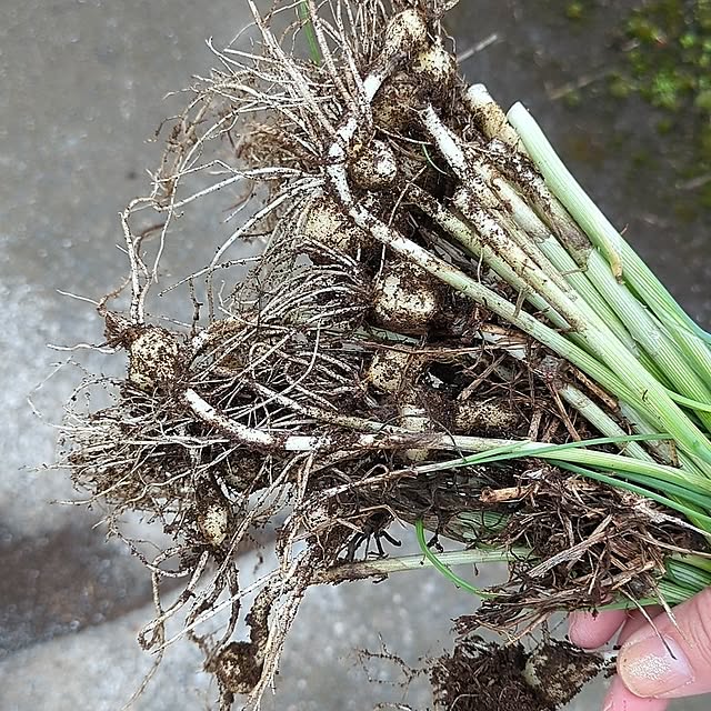 minnieさんの部屋