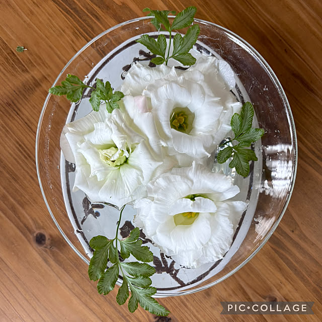 Smilkazuさんの実例写真