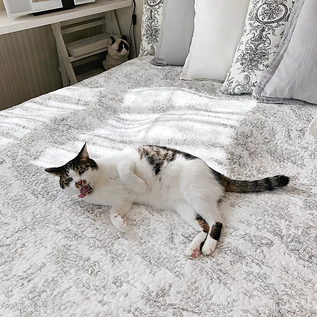 yuchiさんの実例写真