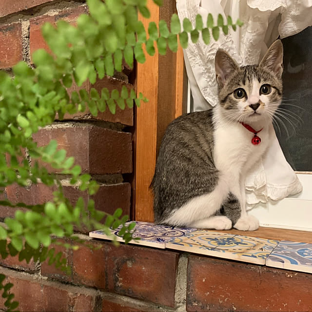 chamさんの実例写真