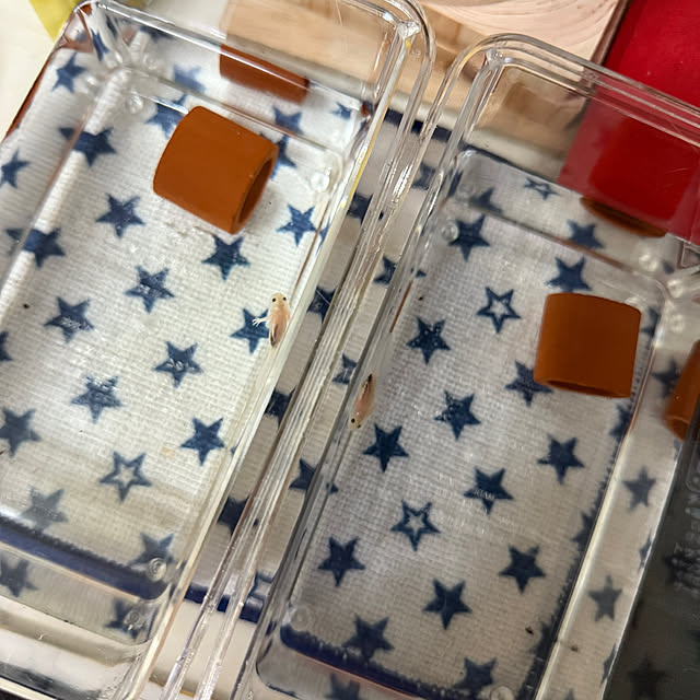 prelumoさんの実例写真
