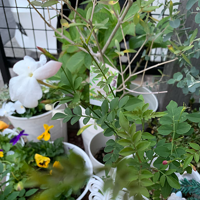 yuma0505さんの実例写真