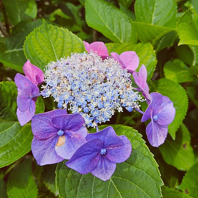 mocomocoさんの部屋