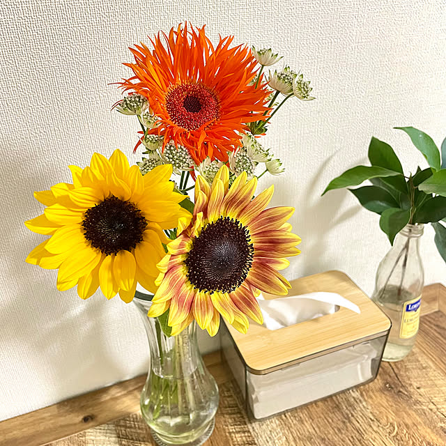 shidakaさんの部屋