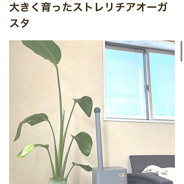 MOMOMAMAさんの部屋
