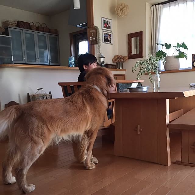 maraさんの実例写真