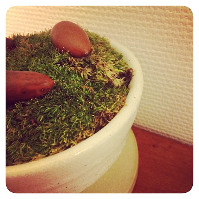 makimekkoさんの実例写真