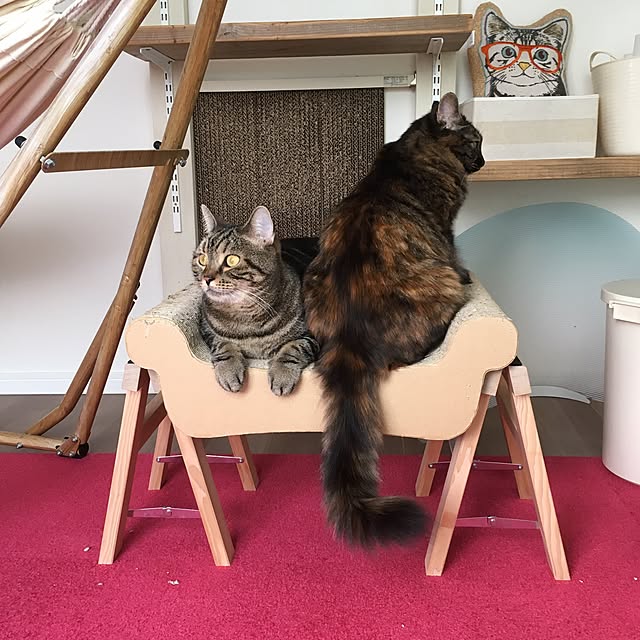 mikomaruさんの実例写真