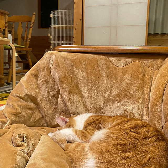 senbei.sakuramochiさんの実例写真