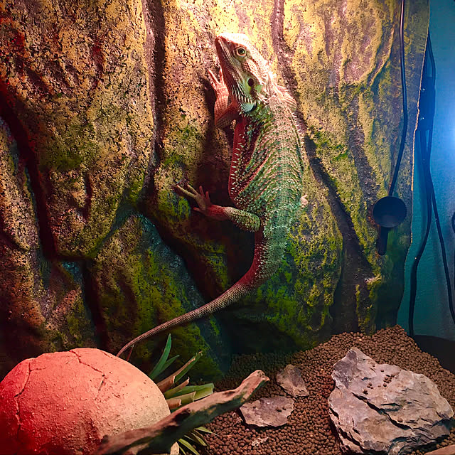 sunaさんの実例写真