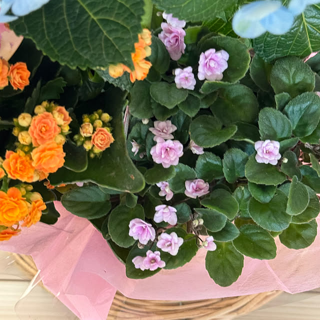 Chigusaさんの部屋