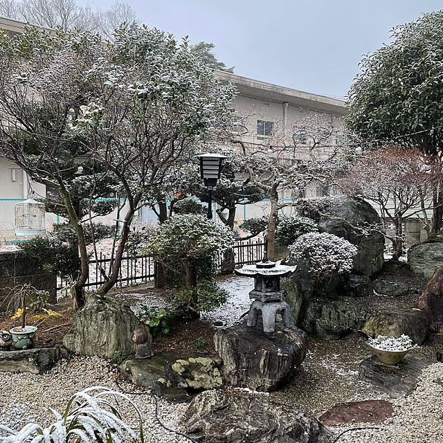 shin0719さんの実例写真