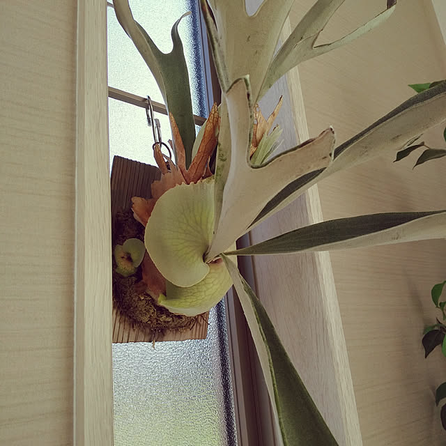 A_tme_dさんの実例写真