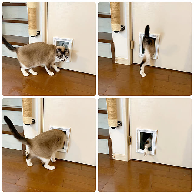 bowbowcoさんの実例写真