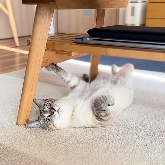 amさんの実例写真