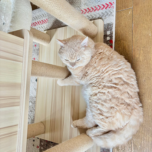 naokoさんの部屋