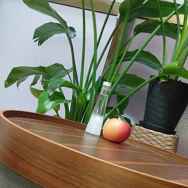 キッチンのインテリア実例 - 2020-12-19 08:45:34